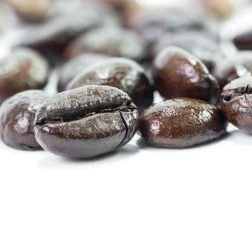 Coffee bean Stock Photos