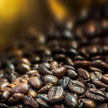 Coffee bean Stock Photos