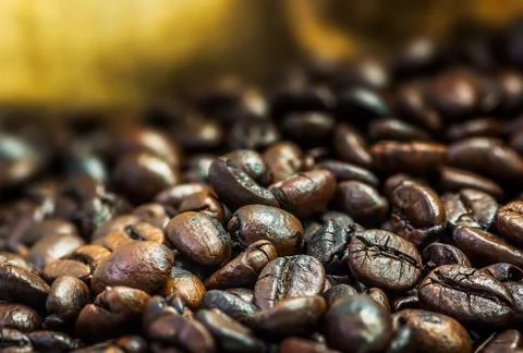 Coffee bean Stock Photos
