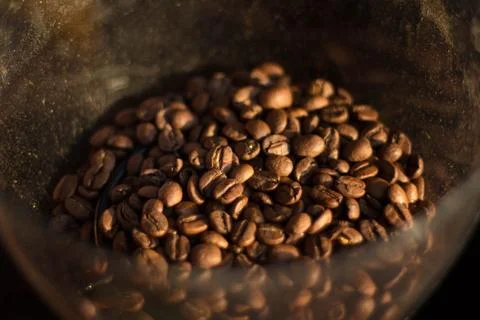 Coffee bean Stock Photos