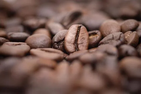 Coffee bean Stock Photos