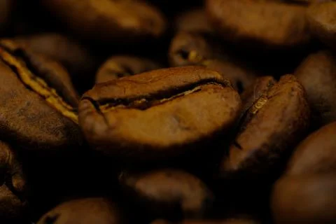 Coffee bean Stock Photos