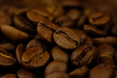 Coffee bean Stock Photos
