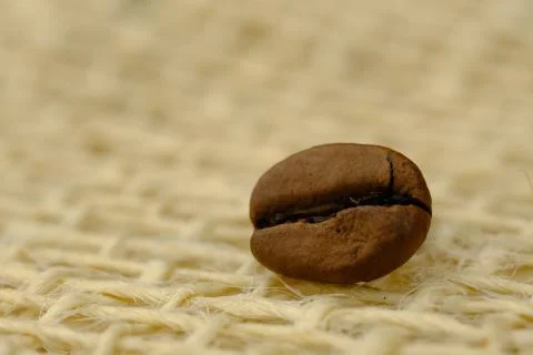 Coffee bean Stock Photos