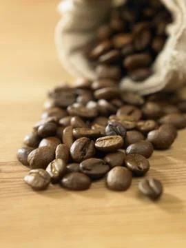 Coffee bean Stock Photos