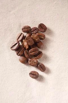 Coffee bean 스톡 사진