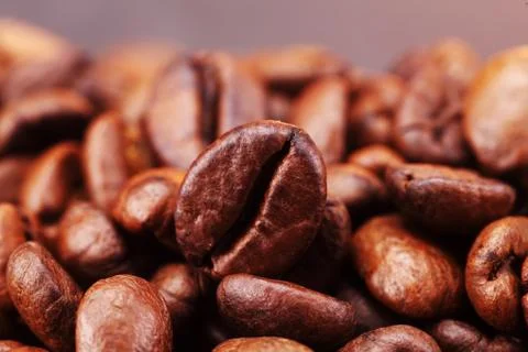 Coffee bean Stock Photos