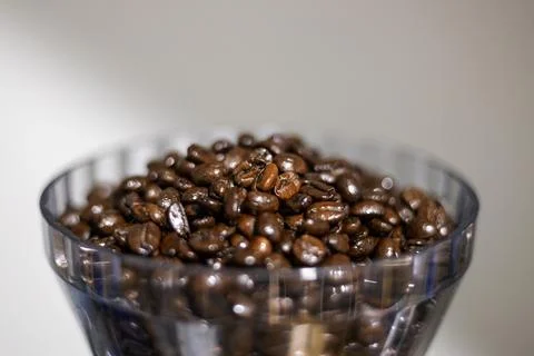 Coffee Bean Stock Photos