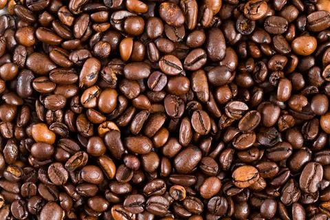 Coffee bean Stock Photos