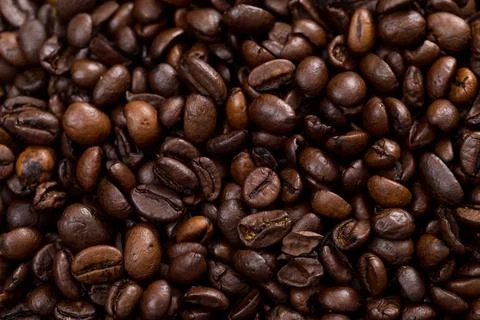 Coffee bean Stock Photos