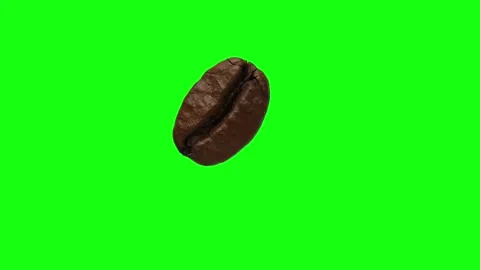 Coffee bean is a preparation for flying coffee beans. Stock Footage 194685954