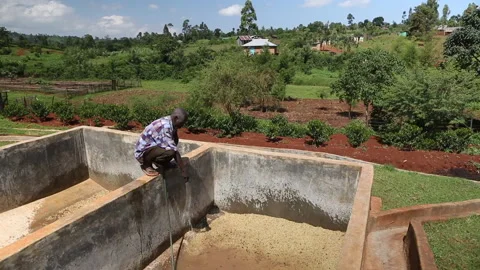 Coffee bean processing at cooperative in Kenya, East Africa Stock Footage 143495807