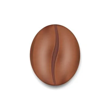 Coffee bean realistic isolated on white background. Vector illustration. Illustration