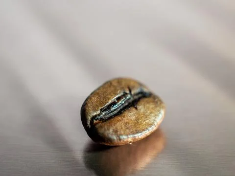 Coffee bean on a reflective surface. Macro. Stock Photos