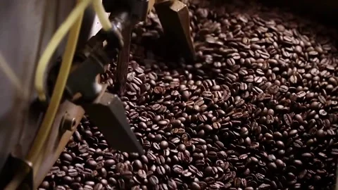 Coffee bean roasting Process Coffee Roaster The freshly roasted coffee bean.. Stock Footage 272456962