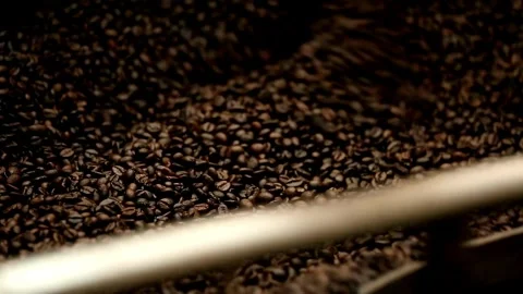 Coffee bean roasting Process Coffee Roaster The freshly roasted coffee bean.. Stock Footage 272457568