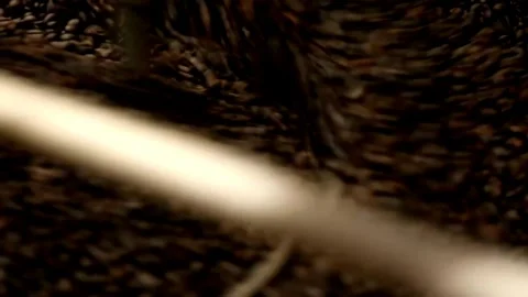 Coffee bean roasting Process Coffee Roaster The freshly roasted coffee bean.. Stock Footage 272457793