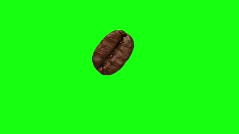 A coffee bean rotates in close-up on a green background. Stock Footage 178132479