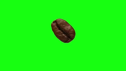 The coffee bean rotates on a green background. Video stock 172391563