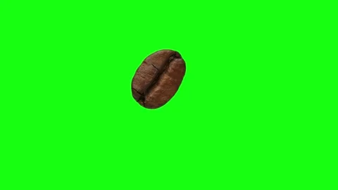 A coffee bean rotates on a green background. This video can be ordered. Vidéo 178912134