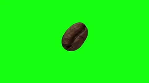 A coffee bean rotates on a green background. This video can be ordered. Video stock 193580471
