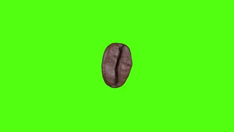 Coffee bean rotates on its axis, looped video, alpha channel, green chromakey, Stock Footage 148892129