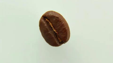 A coffee bean rotates on a white background. Roasted coffee bean close-up macro. Stock Footage 239942466