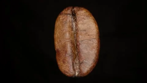 Coffee bean rotating on black background. Stock Footage 303069260