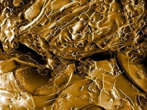 Coffee bean, scanning electron microscopy Stock Photos
