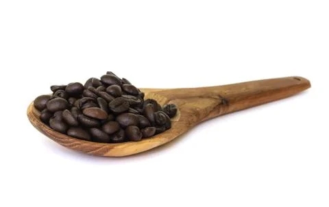 Coffee bean seed. Stock Photos