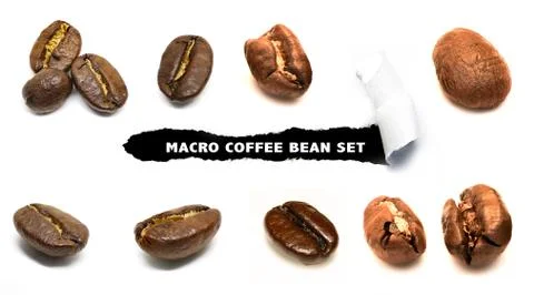 Coffee Bean Set Stock Photos