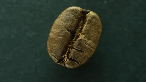 Coffee bean spins on a dark background close-up Stock Footage 127116193