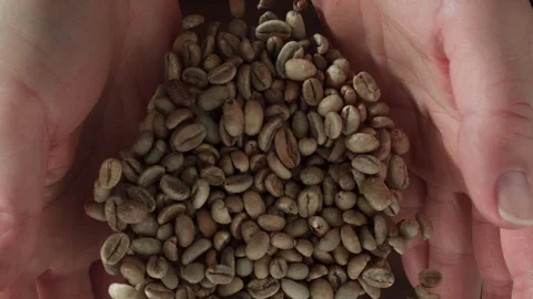 Coffee Bean Super Slow Motion 1000fps  Stock Footage 251873602