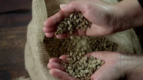 Coffee Bean Super Slow Motion 1000fps  Stock Footage 251957753