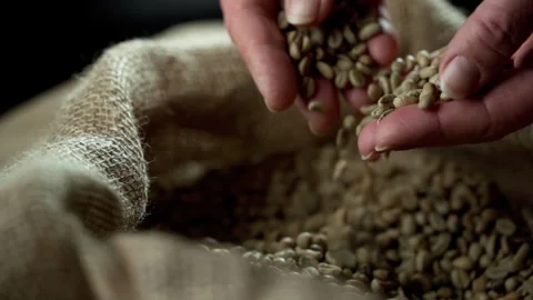 Coffee Bean Super Slow Motion 1000fps  스톡 동영상 251958206