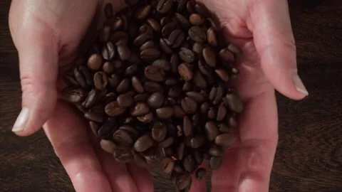 Coffee Bean Super Slow Motion 1000fps  Stock Footage 251961268