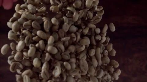 Coffee Bean Super Slow Motion 1000fps  Stock Footage 251971067