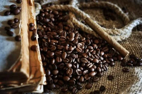 Coffee bean on textile background Stock Photos