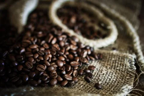 Coffee bean on textile background 库存照片