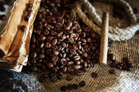 Coffee bean on textile background Stock Photos