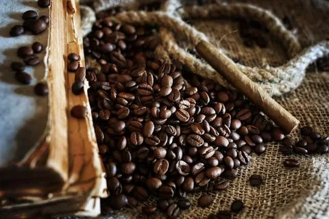 Coffee bean on textile background 库存照片