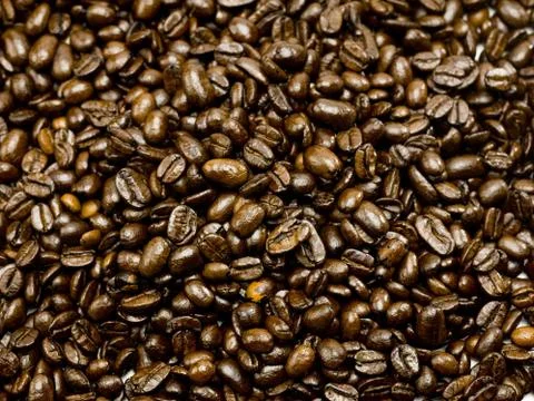 Coffee Bean Texture Stock Photos