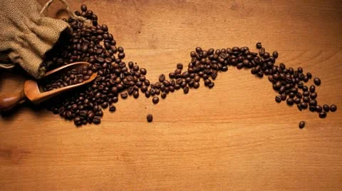 Coffee Bean Tick Symbol Video stock 10825182