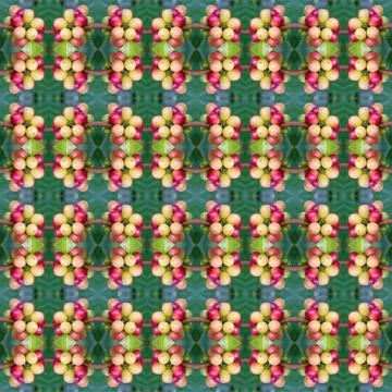 Coffee bean on tree seamless pattern background Illustrazione stock