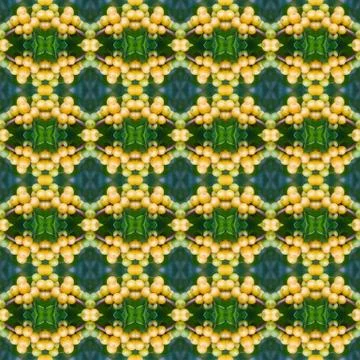 Coffee bean on tree seamless pattern background Stock Illustration