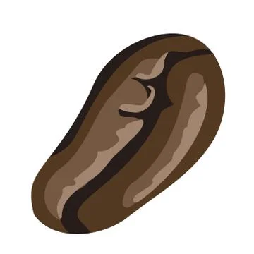 Coffee bean. Vector coffee bean illustration. Isolated white background. Caff Stock Illustration