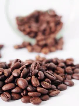 Coffee bean on white background Stock Photos