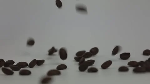 Coffee bean on white, slow motion of coffee beans Stock Footage 241551082