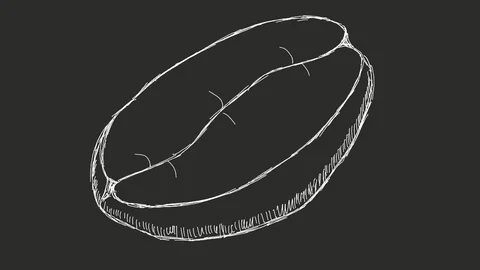 Coffee bean white on transparent background motion graphics Stock Footage 126436814