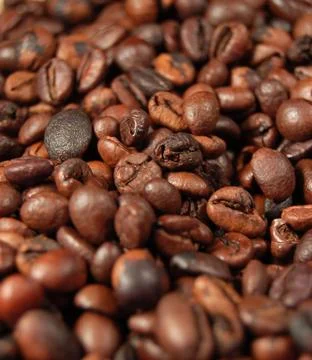 Coffee beans 05 Stock Photos